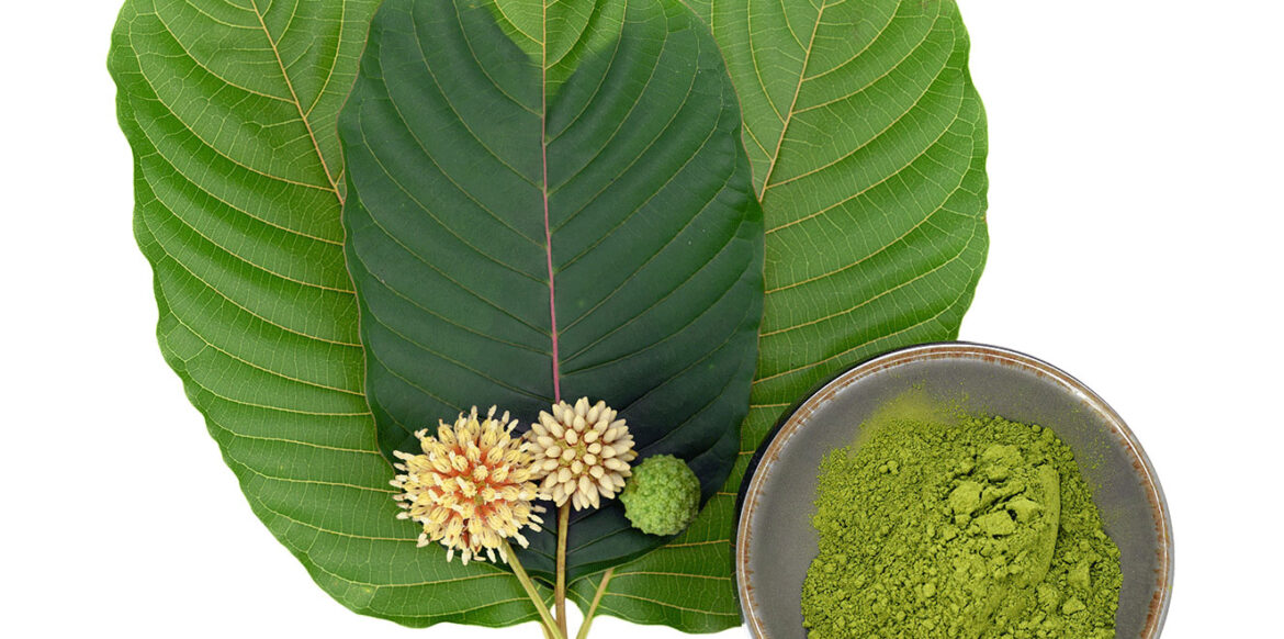 buy sumatra kratom from happy go leafy
