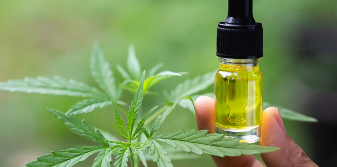 The Future of CBD Oil in the Health Industry